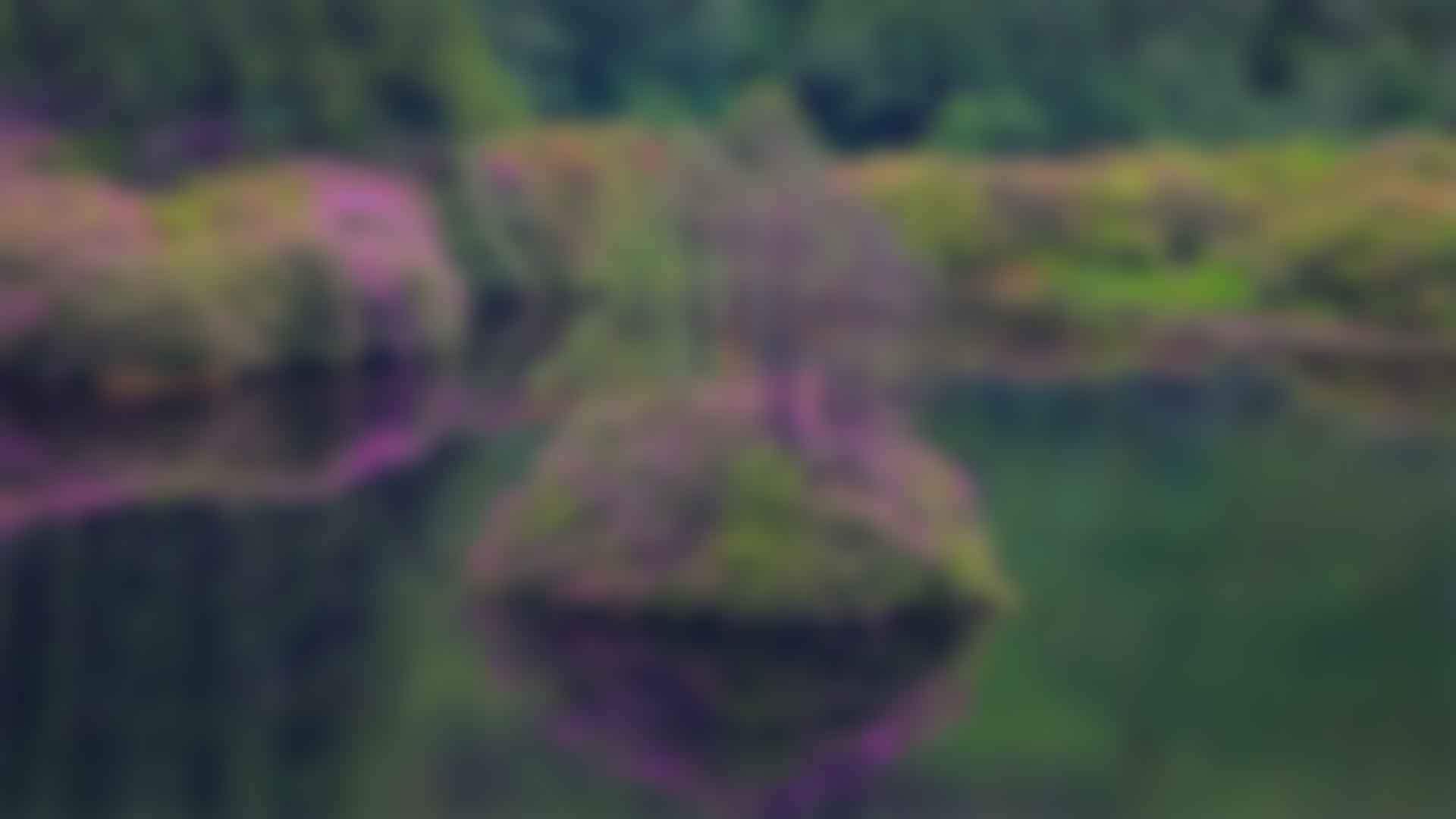 健身：拥抱好色视频在线下载与活力的生活方式